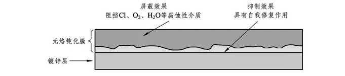 鎢鉻鈍化膜示意圖